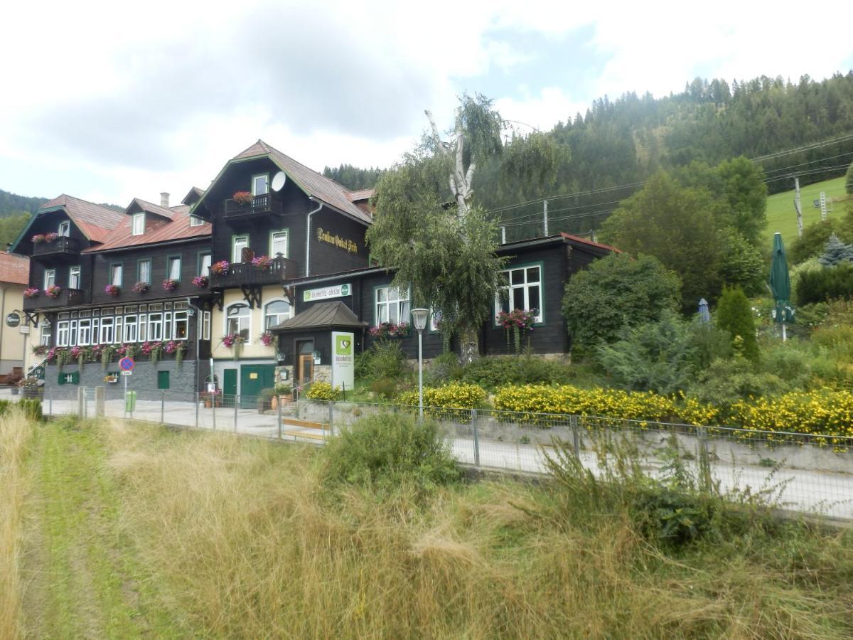 B&B Hotel Das Onkel Fritz Шпіталь-ам-Земмерінг Екстер'єр фото